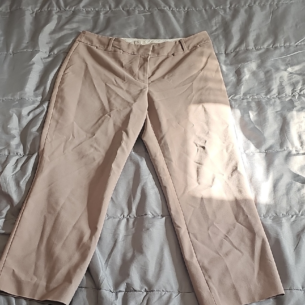 LOFT Taupe Trousers